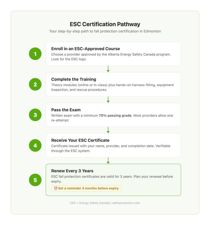 ESC certification pathway infographic showing the 5 steps from enrollment through training, exam, certification, and 3-year renewal