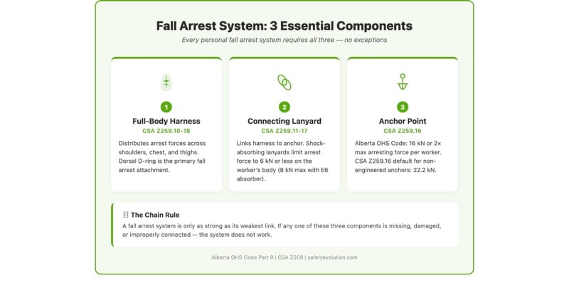 Diagram showing the three essential components of a fall arrest system: full-body harness (CSA Z259.10), connecting lanyard (CSA Z259.11), and anchor point (CSA Z259.15)