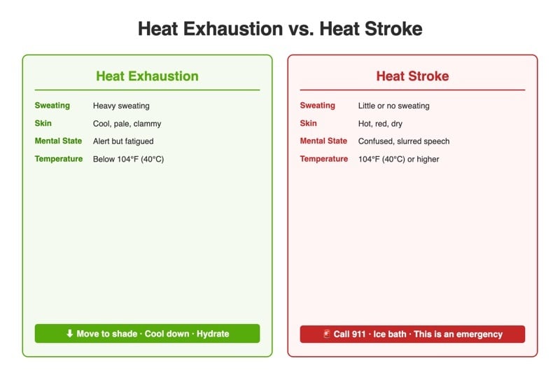 Comparison table infographic showing the key differences between heat exhaustion and heat stroke symptoms and emergency response