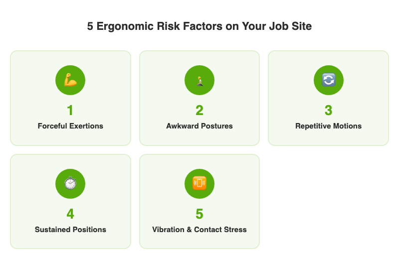Infographic showing five ergonomic risk factors in construction: forceful exertions, awkward postures, repetitive motions, sustained positions, and vibration