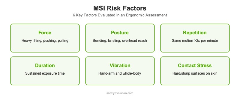 Six key MSI risk factors evaluated in an ergonomic assessment: force, posture, repetition, duration, vibration, and contact stress