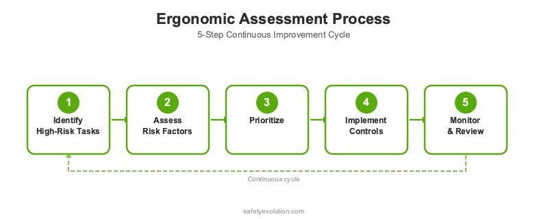 Process diagram showing the 5-step ergonomic assessment cycle: identify high-risk tasks, assess risk factors, prioritize, implement controls, monitor and review