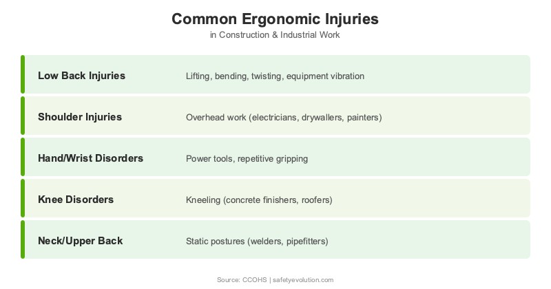 Reference chart showing the 5 most common ergonomic injuries in construction and industrial work: low back, shoulder, hand and wrist, knee, and neck injuries mapped to their causes