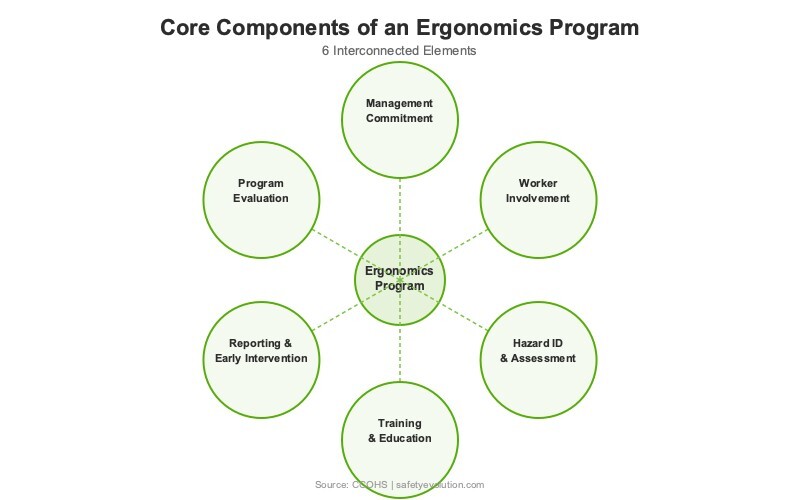 Diagram showing the 6 core components of a workplace ergonomics program: management commitment, worker involvement, hazard identification, training, reporting, and program evaluation