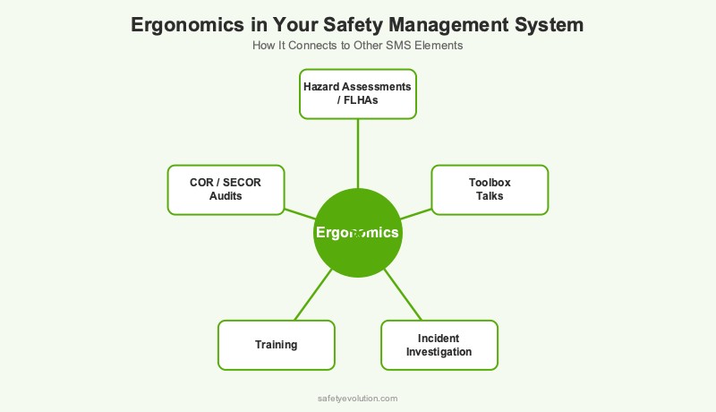Hub-and-spoke diagram showing how workplace ergonomics connects to other safety management system elements: hazard assessments, toolbox talks, incident investigation, training, and COR audits
